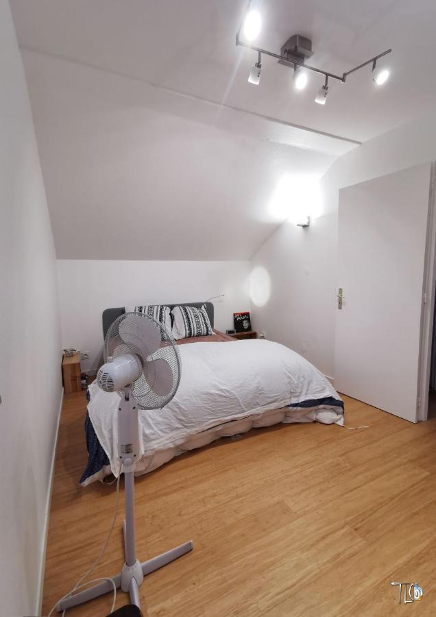 "Le Loft B Bg " Appartement Avec Terrasse G Friendly Страсбург Экстерьер фото