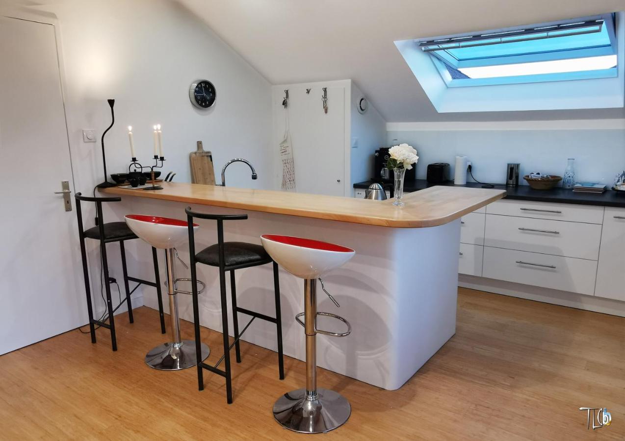 "Le Loft B Bg " Appartement Avec Terrasse G Friendly Страсбург Экстерьер фото